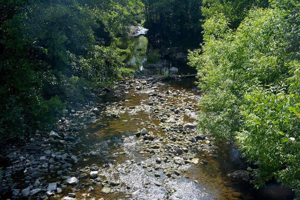Danilovica Kuca Διαμέρισμα Bioska Εξωτερικό φωτογραφία