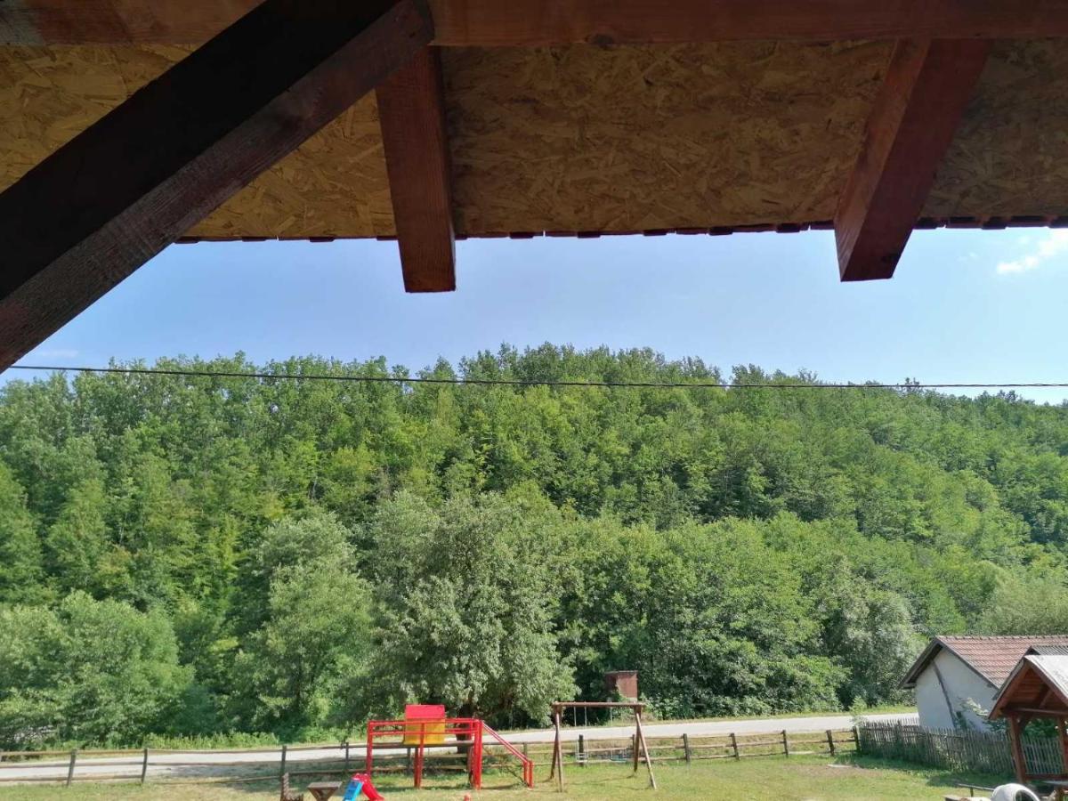 Danilovica Kuca Διαμέρισμα Bioska Εξωτερικό φωτογραφία